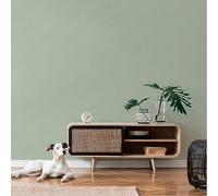 Livingwalls Famous Garden 393536 Papier peint intissé uni Vert 10,05 m x 0,53 m