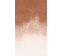 Livingwalls Papier peint panoramique aquarelle - Marron - XXL 1,59 x 2,80 m | Dégradé aquarelle doux en mur d'accent - Papier peint intissé mat, sans raccord et déposable - Pour salon et entrée