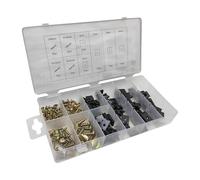 LIXSAZSE Kit de 170 pièces de Rechange pour vis et écrous en U, avec étui Rangement. Solution Rangement Simple et fiable pour Votre matériel Automobile.
