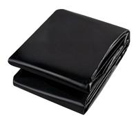 Liyadolaam Revêtement étang Noir HDPE 1x6m 2x5m 3x3m 4x4m, bâche Flexible pour Petites fontaines, Mini étangs Jardin, lit surélevé, Cascade(2x5m)