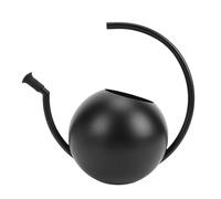 LIYJTK Indoor Watering Can 1000ml Stainless Steel Plant Pot for House Succulents Bonsai Garden Outdoor Flower Decorative Black Rustproof Durable