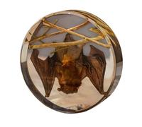 LKYLVEE Animaux de taxidermie de Chauve-Souris réels - Modèle de Chauve-Souris en résine - pour spécimens éducatifs en Salle de e Sciences