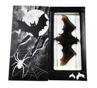 LKYLVEE Animaux de taxidermie de Chauve-Souris réels - Modèle de Chauve-Souris en résine - pour spécimens éducatifs en Salle de e Sciences