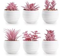 LMSAWK 6 Pièces Plantes Succulentes Artificielles Pots Interieur, Petite Interieur pour Decoration Maison, Plante Artificielle Chambre Salle Bain Bureau Cuisine Décoration Maison, Salle, Étagère Rose