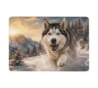 LMYmoney Husky with Diamond Grill Tapis 150 x 100 cm, Doux et Antidérapant | Tapis 150 x 100 cm : convient aux petits espaces; avec surface douce; près du lit ou du canapé