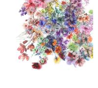 LNSYSNS Stickers Fleurs, Autocollant Fleur & Stickers Scrapbooking - 200 Pièces Set Premium | pour Albums, Agendas, Scrapbooking & Décoration Personnalisée