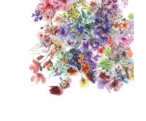 LNSYSNS Stickers Fleurs, Autocollant Fleur & Stickers Scrapbooking - 200 Pièces Set Premium | pour Albums, Agendas, Scrapbooking & Décoration Personnalisée