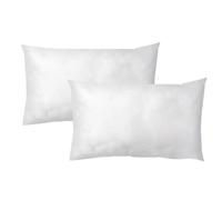 LNT France - Coussins de Garnissage, Ultra Gonflant, Coussin Canapé, Coussin à Recouvrir, Rembourrage Coussins Blanc (50x30 cm (Lot de 2))