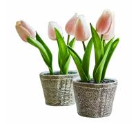Loberon Zéphine Lot de Deux Pots de Tulipes décoratives - Superbe Travail réalisé à la Main - Beau Pot de Style Ancien, Rose