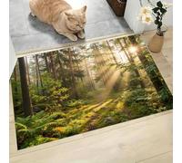 LODMLOER Tapis Entree Interieur Lumière du Matin Forêt 60 x 90 cm Lavable en Machine | AntidéRapant Poil Ras, pour Chambre Salle a Manger Descente de Lit Bureau, Cuisine,Plantes Arbres