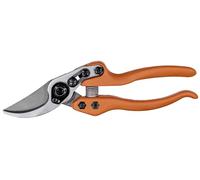 Loewe 11104 Sécateur à lame tirante Poignée ergonomique 21 cm Pour branches jusque 25 mm (Import Allemagne)