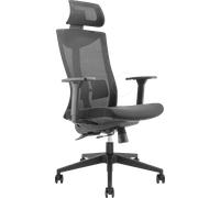 LOGILINK EO0077 - Chaise de bureau LOGILINK, ergonomique, noire