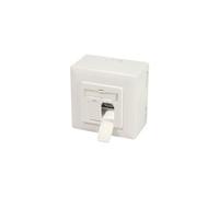 LogiLink - Prise à montage encastré - encastrable, montable en surface - CAT 6a - STP - RJ-45 X 2 - blanc pur, RAL 9010