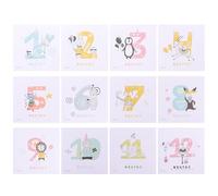 LOLIPPYY Autocollants Photo Bébé en Papier pour -né, Ensemble 1 Set, Animaux Adorables pour Enregistrement de Croissance et Décor de Chambre