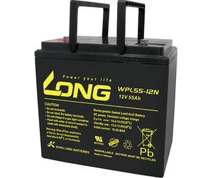 Long WPL55-12 WPL55-12 Batterie au plomb 12 V 55 Ah plomb (AGM) (l x H x P) 226 x 214 x 135 mm raccord à vis M6 auto-décharg
