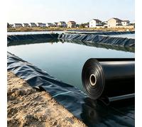 Lonmrrton Revêtement d'étang imperméable Noir, 5x8m 6x10m 7x12m 10x15m sous-Couche de Bassin à découpe Facile Feuille de Plastique en polyéthylène Membrane résistante à l'humidité(2x6m)