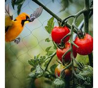 Loobiiny Filet de Protection Anti-Oiseaux 30×15 m Noir en Polyéthylène Résistant pour Jardin Verger Potager Étang Poulailler Anti-Cerf Volaille Filet à Mailles Fines