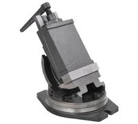 LoogCape Étau à 2 axes - 160 mm - Inclinable - En fonte - Avec fonction pivotante et rotative - Réglable en hauteur - Pour atelier, travail du métal et du bois - Avec base stable