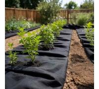 LoogCape Toison géotextile non tissée noire 1 x 150 m en fibre de polyester durable, perméable à l'eau, polyvalente pour jardin, parterre surélevée, serre, protection racinaire, drainage, blocage des
