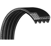 Looxe COURROIE 2610394629 COMPATIBLE