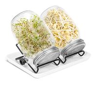 Lospitch 2 Set Germoir en Verre Bocal à Germes 950 ML, avec Couvercle à Grille en Acier Inoxydable, avec 2 Supports Réglables, 1 Assiette en Plastique, pour Brocoli, Eau Céleri, Haricots Verts