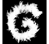 Lot 2x Guirlande de Noël Plumes Boa - 1,80 m - Blanc