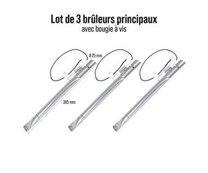 Lot 3 brûleurs avec bougie a vis