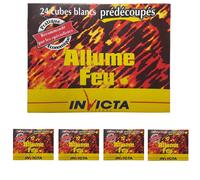 LOT 5 boites de 24 allume feu INVICTA