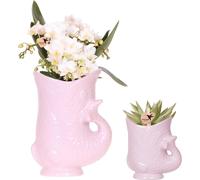 Lot composé d'une orchidée blanche Nazaré et d'une plante succulente dans un