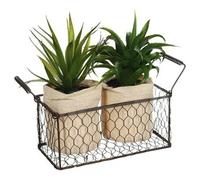 Lot d'Aloe Vera & Panier Well 23cm