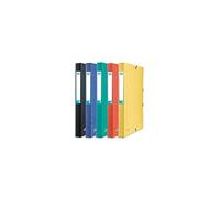 Lot de 10 Boîte de classement personnalisable EUROBOX MODLING. En carte lustrée. Dos de 25 mm. Color