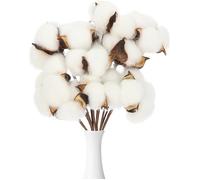 Lot de 10 branches de coton véritable séchées Décoration en coton blanc pour vase mariage fête décoration FLEUR-PLANTE ARTIFICIELLE