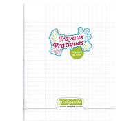 Lot de 10 Cahier Travaux Pratiques Ligne 8000 17x22, 96p./48 feuilles 90 g/m² piquées, couv. PP incolore, Séyès / uni
