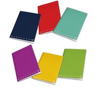 Lot de 10 cahiers, format maxi, quadrillés 0B, unis