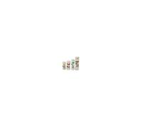 Lot de 10 cartouches domestique sans voyant 6A