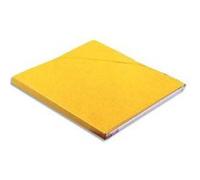Lot de 10 chemises Eurofolio Alpina, dos de 1,5 cm, carte lustrée 5/10e jaune curry G