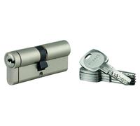Lot de 10 cylindres Transit 1 45x50mm, nickelé, 5 clés - THIRARD