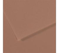 Lot de 10 Feuille Mi-Teintes® 50x65 160g/m², coloris marron glacé 188