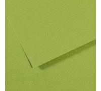 Lot de 10 Feuille Mi-Teintes® 50x65 160g/m², coloris vert pomme 475