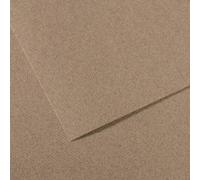 Lot de 10 Feuille Mi-Teintes® A3 160g/m², coloris gris chiné 431
