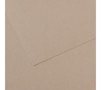 Lot de 10 Feuille Mi-Teintes® A3 160g/m², coloris gris flanelle 122