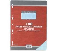 Lot de 10 Feuillets mobiles, Format 21 x 29,7 cm, 100 pages, grands carreaux seyès, verts, 80g - Sous étuis G
