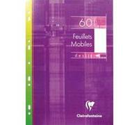 Lot de 10 Feuillets mobiles, Format 21 x2 9,7 cm, 60 pages, papier dessin blancs 125g - Sous étuis carton G