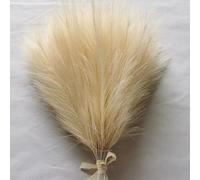 Lot de 10 fleurs artificielles de 45 cm - Herbe de la pampa artificielle - Décoration de vase - Décoration de mariage - Décoration de chambre - Beige