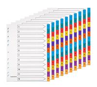 Lot de 10 intercalaires pour classeurs A4 - En mylar coloré - Pour classeurs à levier - Multifonctions poreux