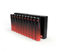 Lot de 10 Piles industrielles Type LR03-AAA, Haute durée et Performance, idéales pour Les appareils électroniques et Les Jouets.