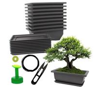 Lot de 10 pots bonsaï