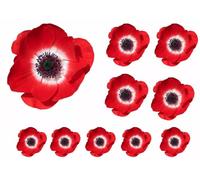 Lot de 10 stickers muraux pour voiture Motif coquelicot rouge