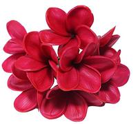 Lot de 10 tiges de fleurs de frangipanier artificielles en latex pour bouquet de fleurs de mariée, décoration, fête