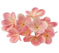 Lot de 10 tiges de fleurs de frangipanier artificielles en latex pour bouquet de fleurs de mariée, décoration, fête